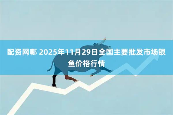 配资网哪 2025年11月29日全国主要批发市场银鱼价格行情