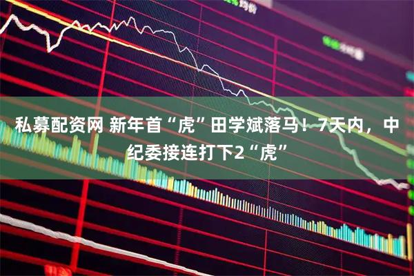 私募配资网 新年首“虎”田学斌落马!7天内,中纪委接连打下2“虎”