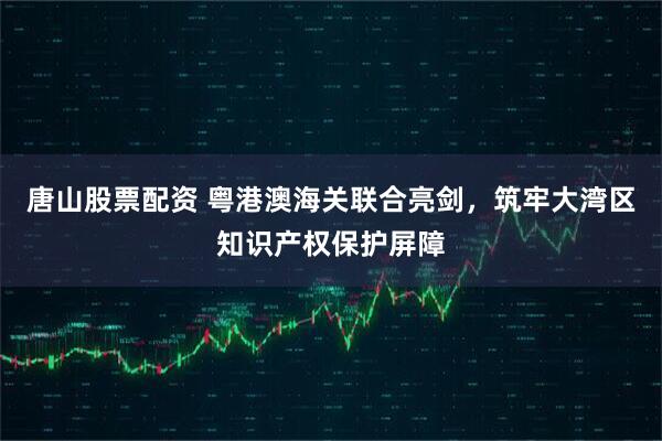 唐山股票配资 粤港澳海关联合亮剑，筑牢大湾区知识产权保护屏障