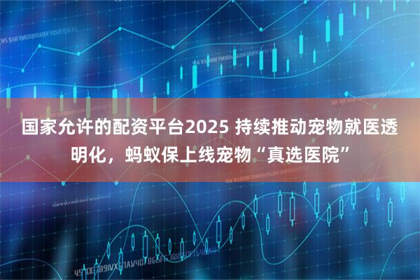 国家允许的配资平台2025 持续推动宠物就医透明化，蚂蚁保上线宠物“真选医院”